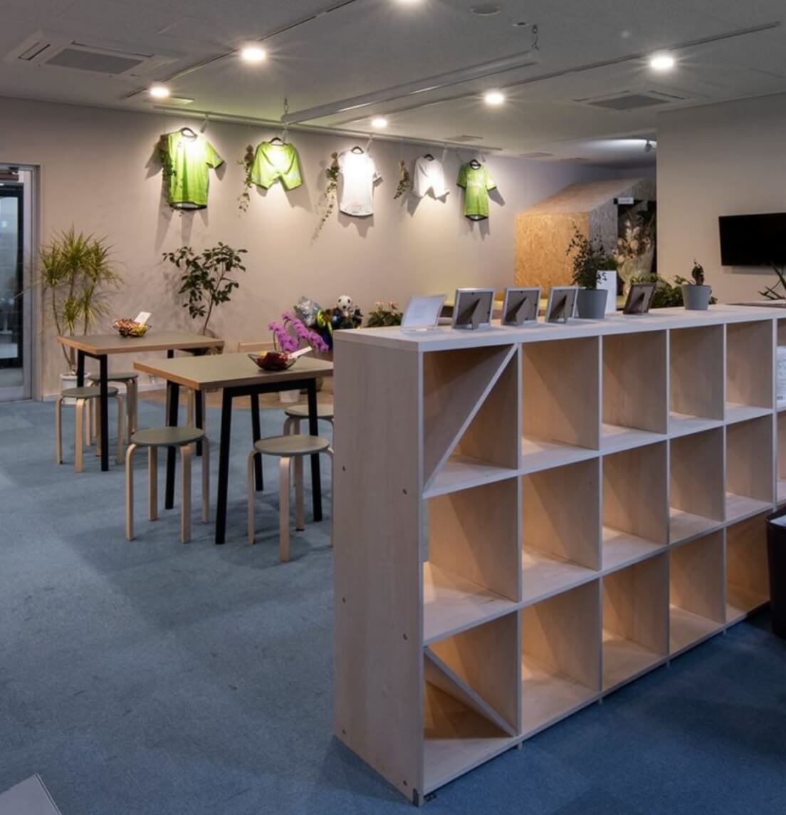 ロータイプ収納本棚