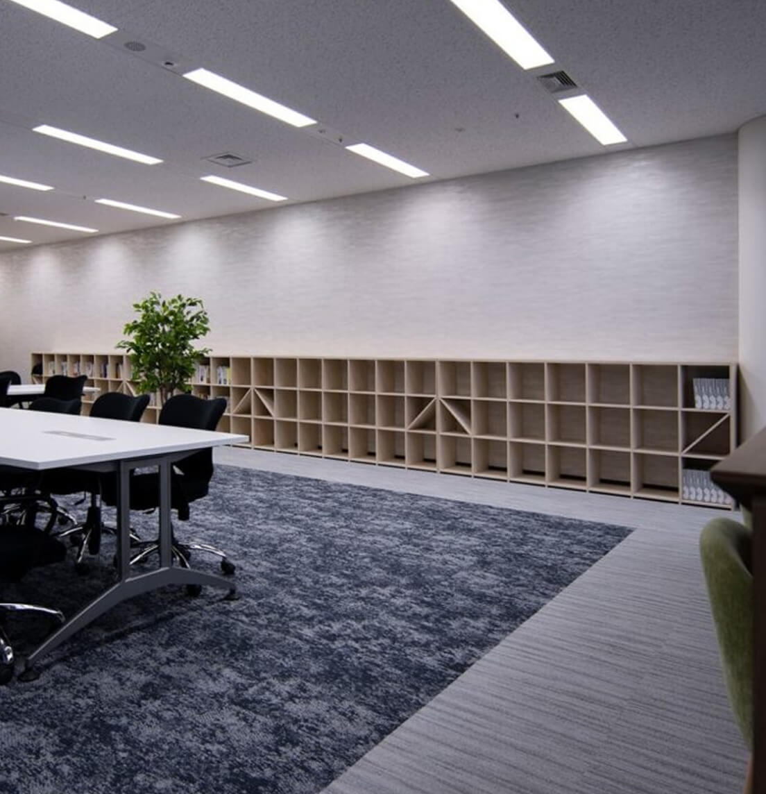 ロータイプ収納本棚