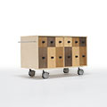 Storage Cart  キャスター付き収納カート CDチェスト 2段×6列 ロータイプ