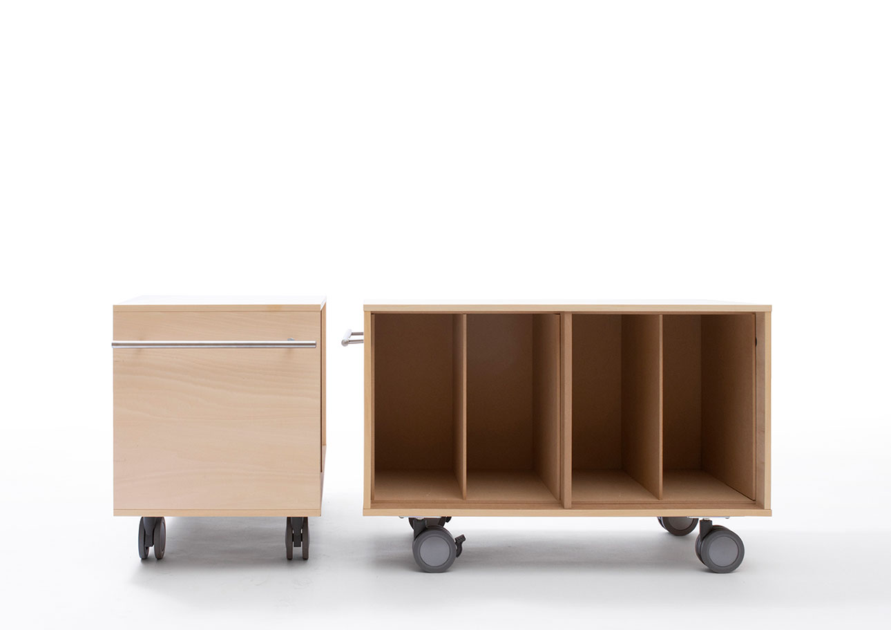 Storage Cart  キャスター付き収納カート  パーティションインナー レコード収納カート 仕切り付き 2列 ロータイプ