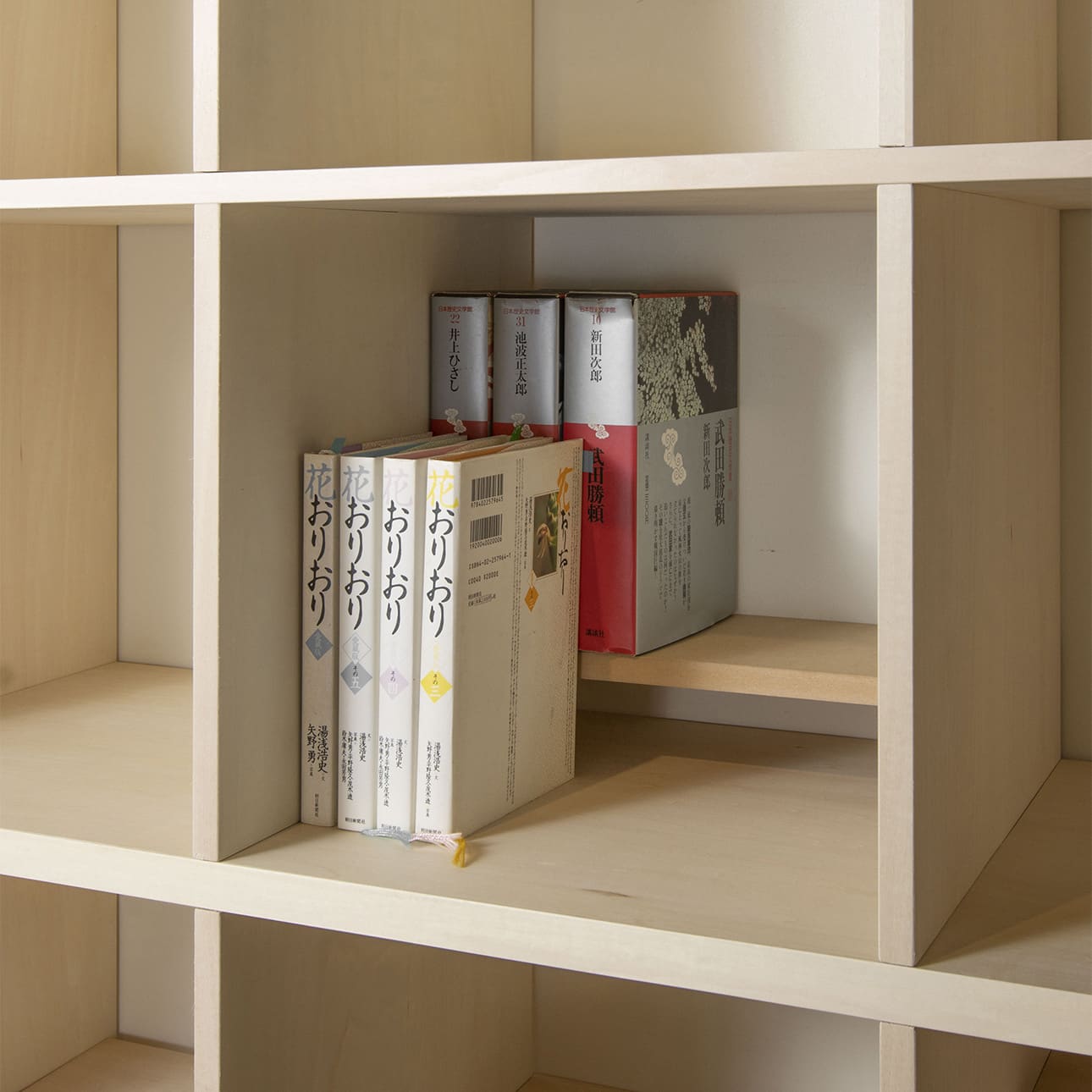 Shelf 本棚の中の棚-02（DVD A5判コミック本）