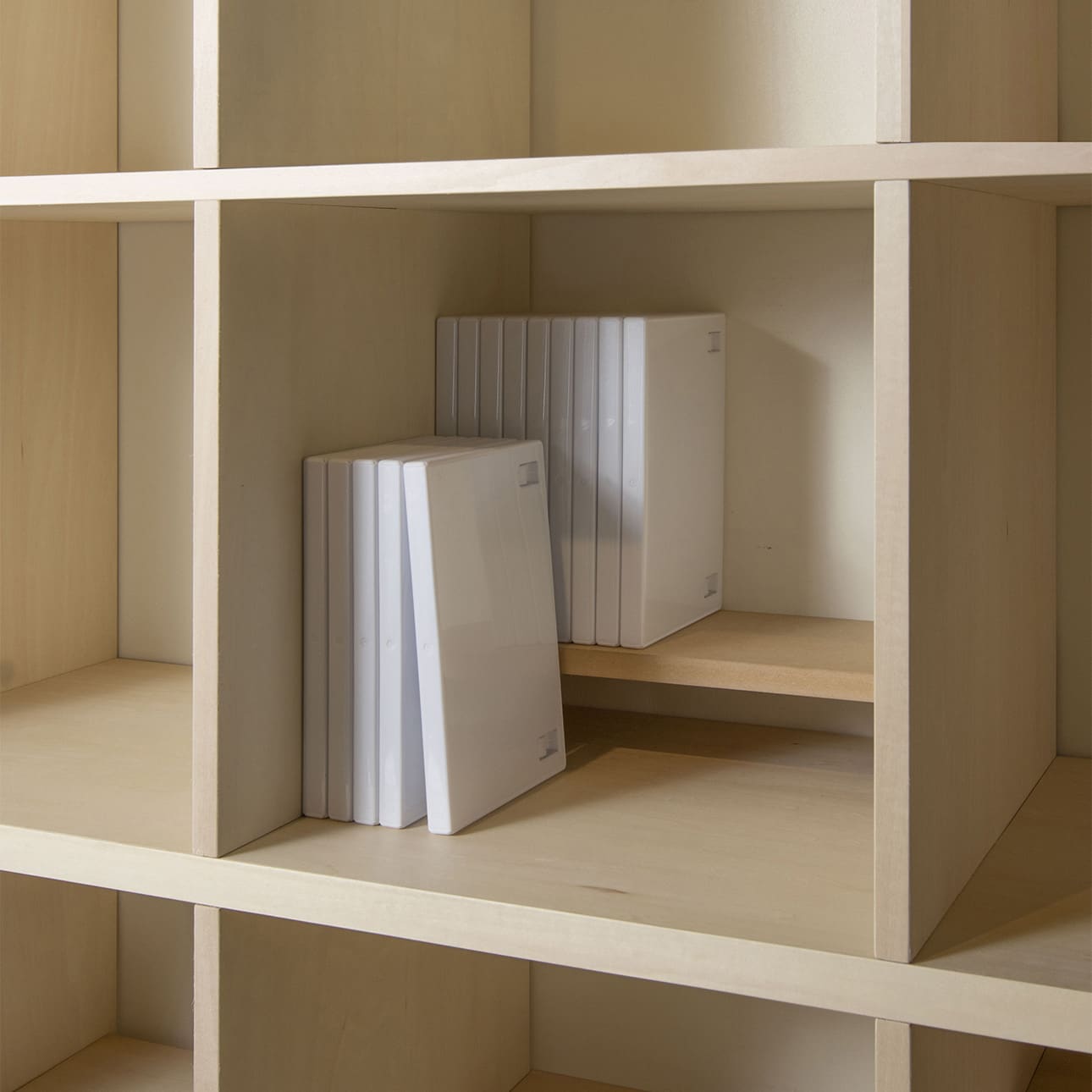 Shelf 本棚の中の棚-02（DVD A5判コミック本）