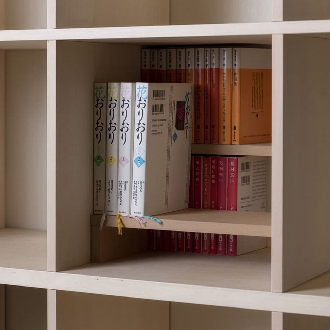 Shelf 本棚の中の棚-05（文庫本 新書判 B6判コミック本）