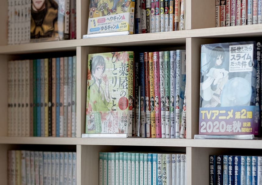 コミック本や文庫本など、小型本の収納に特化