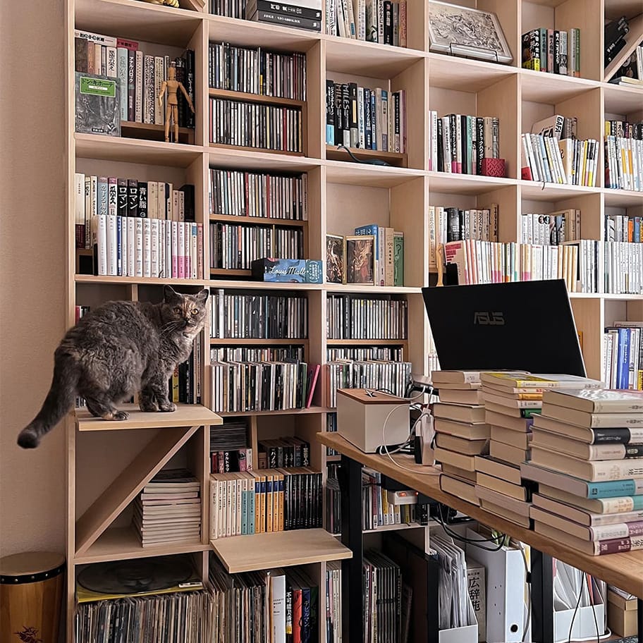 Shelf 猫ステップ 幅1コマ用(奥行250mm専用)
