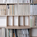 Shelf 猫ステップ 幅2コマ用（奥行250専用）