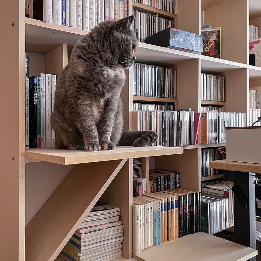 Shelf 猫ステップ（壁一面の本棚 奥行250・奥行350mm専用）