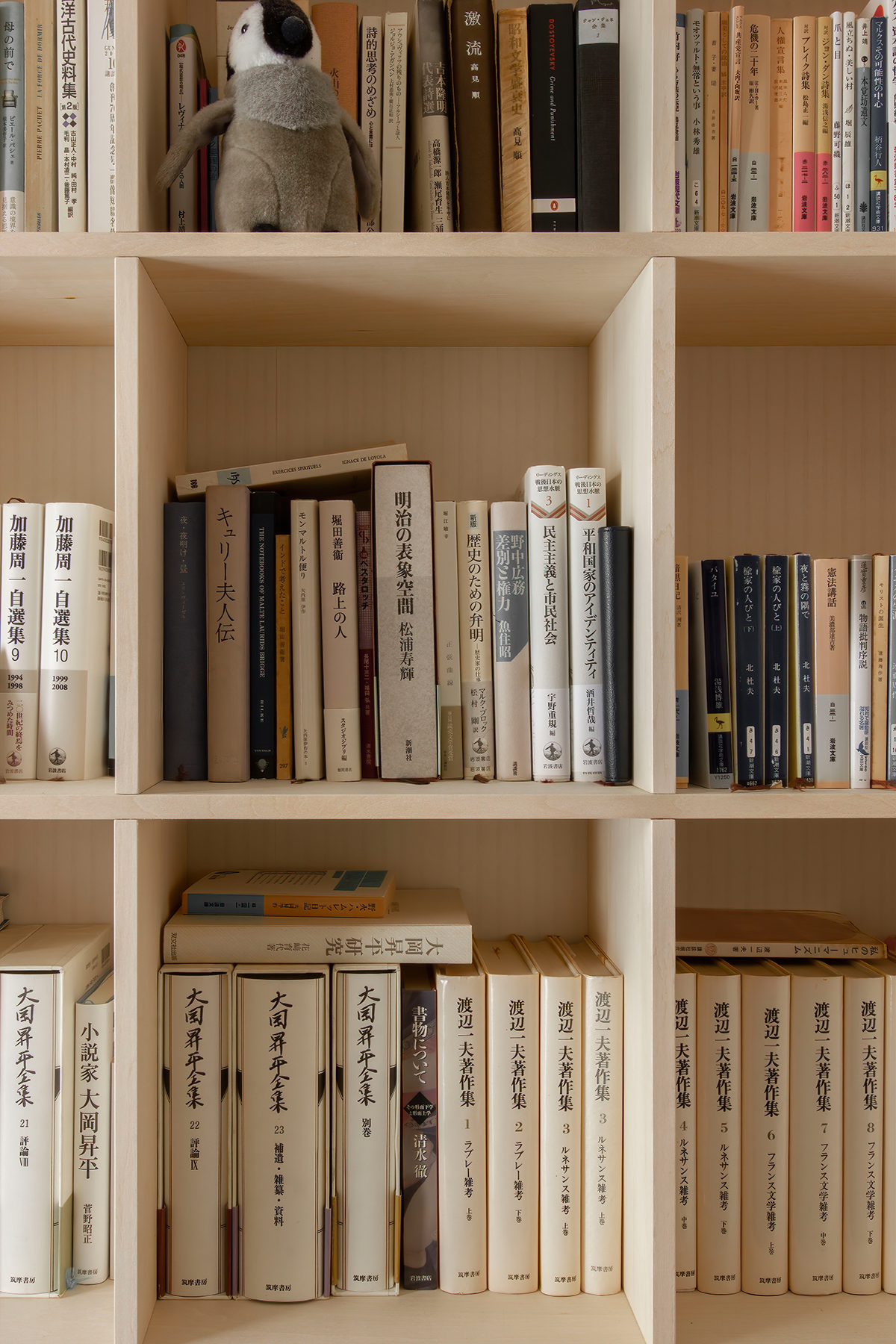 本棚の棚 家庭用寝室 書斎収納棚 新品未使用i28 Seeru 本収納 Watanegypt Tv