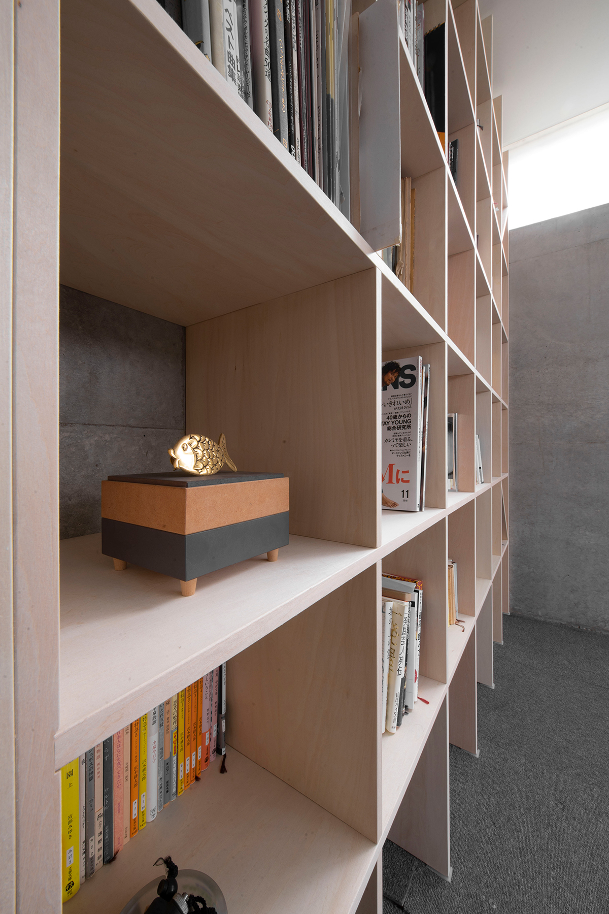 螺旋階段のある地下室の本棚に | 壁一面の本棚 奥行250mm/Shelf（No.62）