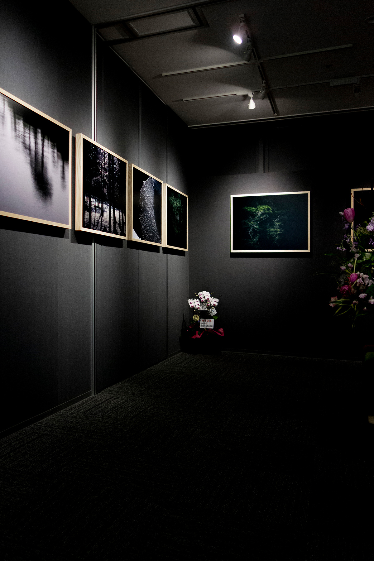 写真展WANDO | ピクチャーフレーム / FRAME (No.02) | マルゲリータ使用例 シンプル おしゃれ 部屋 インテリア レイアウト