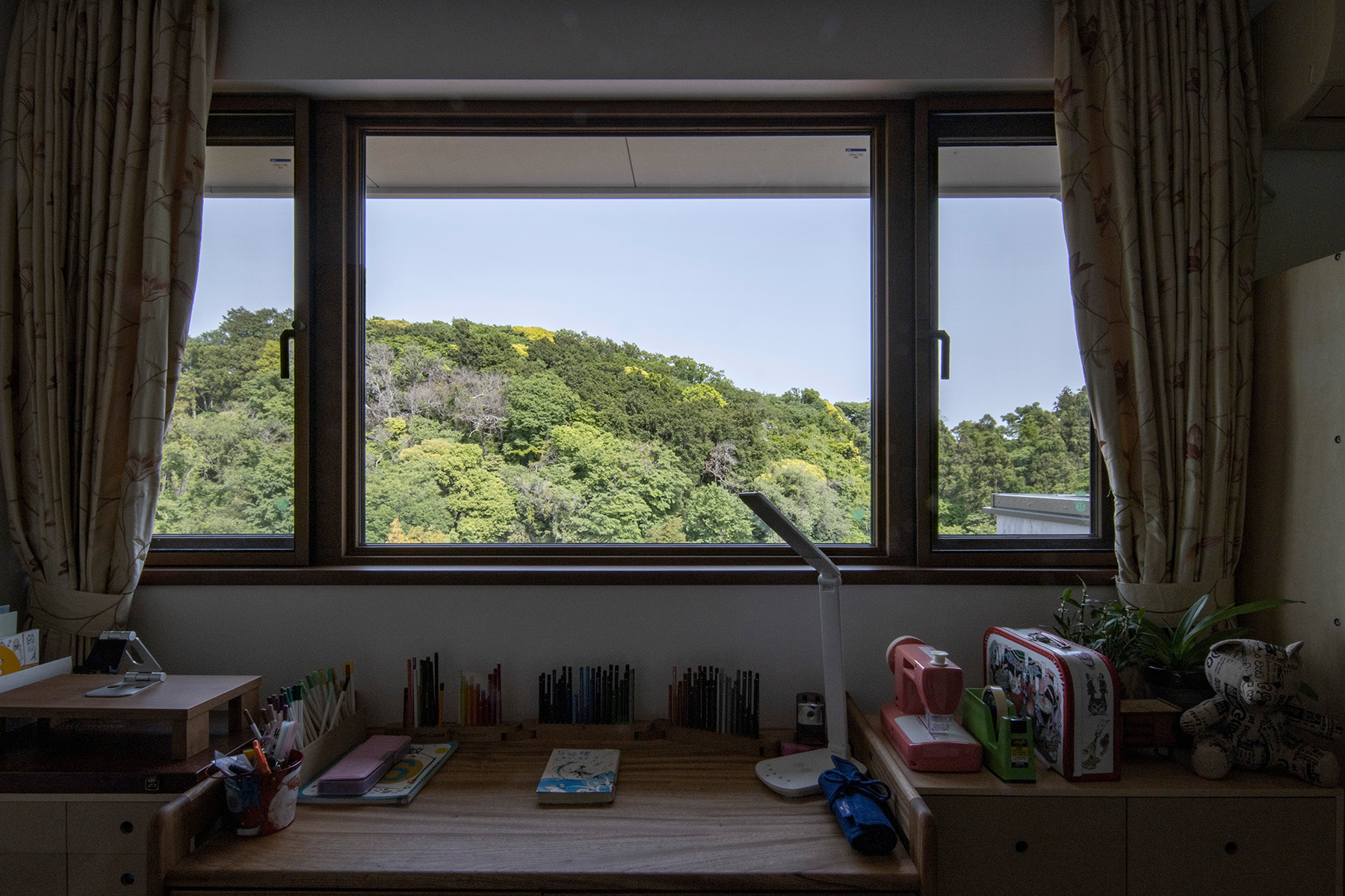 風景画の様な窓に面して | 壁一面の本棚 奥行350mm / Shelf (No.124) | マルゲリータ使用例 シンプル おしゃれ 部屋 インテリア レイアウト