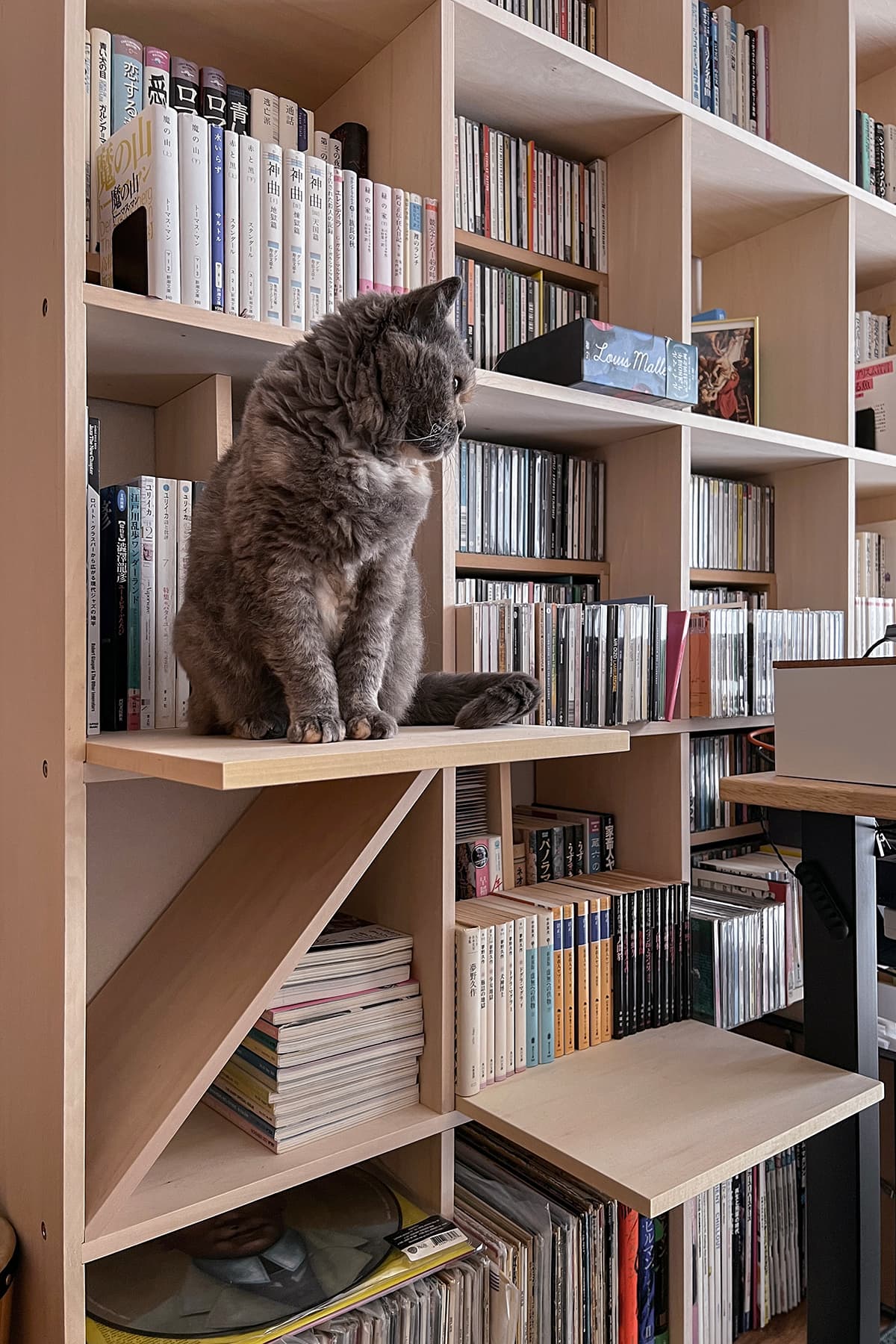 本棚に取り付けた猫ステップ