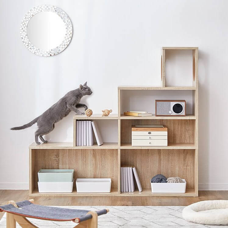 猫が階段を上るように遊べるキャットウォーク機能を併せ持つ本棚