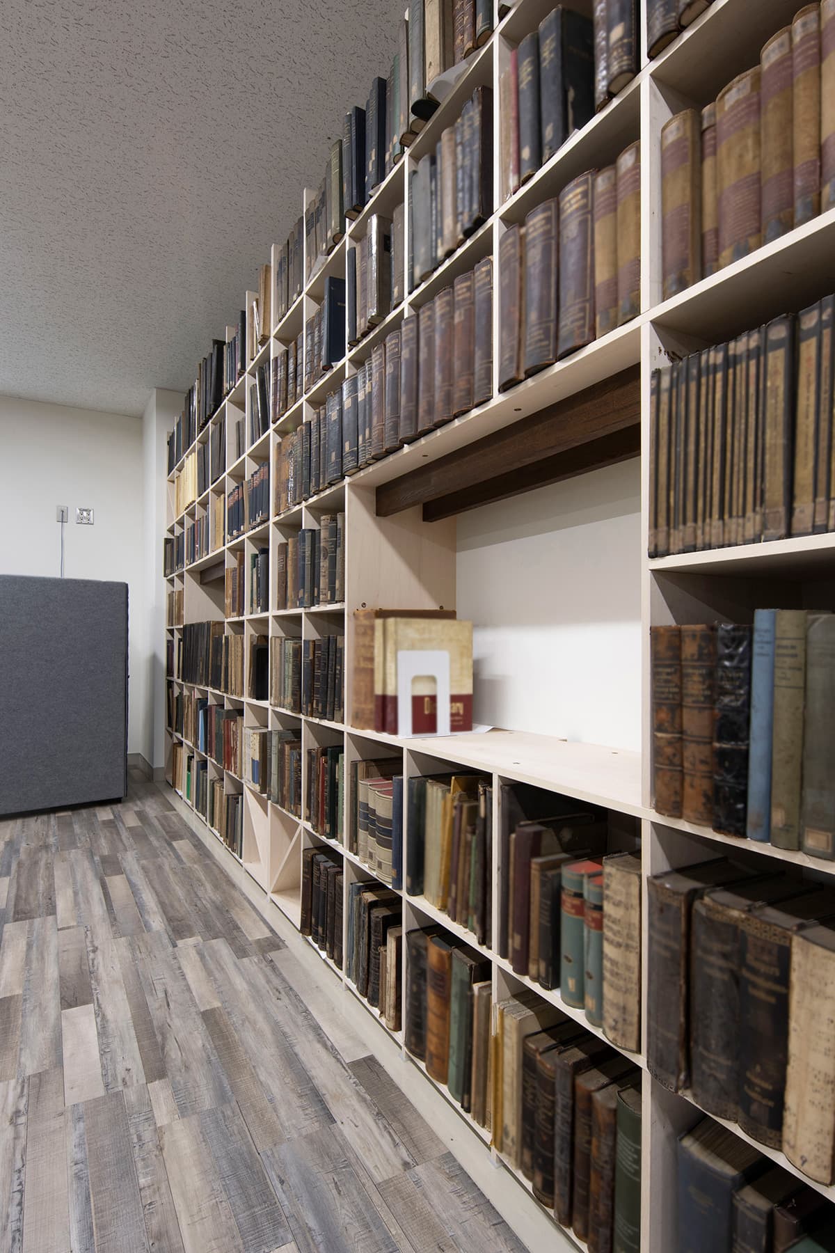 国立大学の医学部資料室 – Shelf 壁一面の本棚 奥行350mm – マルゲリータ使用事例