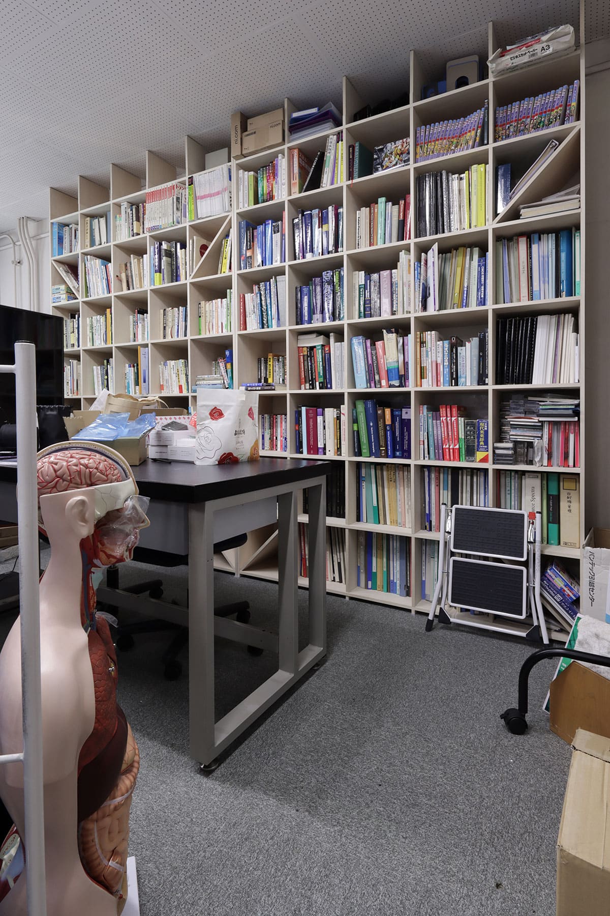 【File 937】東京大学 核医学イメージングの研究室に - Shelf 壁一面の本棚 奥行250mm - マルゲリータお客様事例