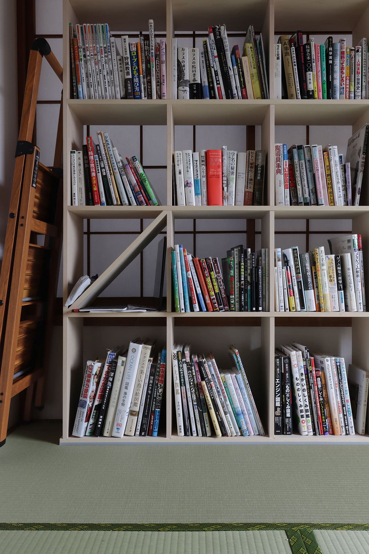 和室の本棚 - Shelf 壁一面の本棚 奥行250mm - マルゲリータお客様事例