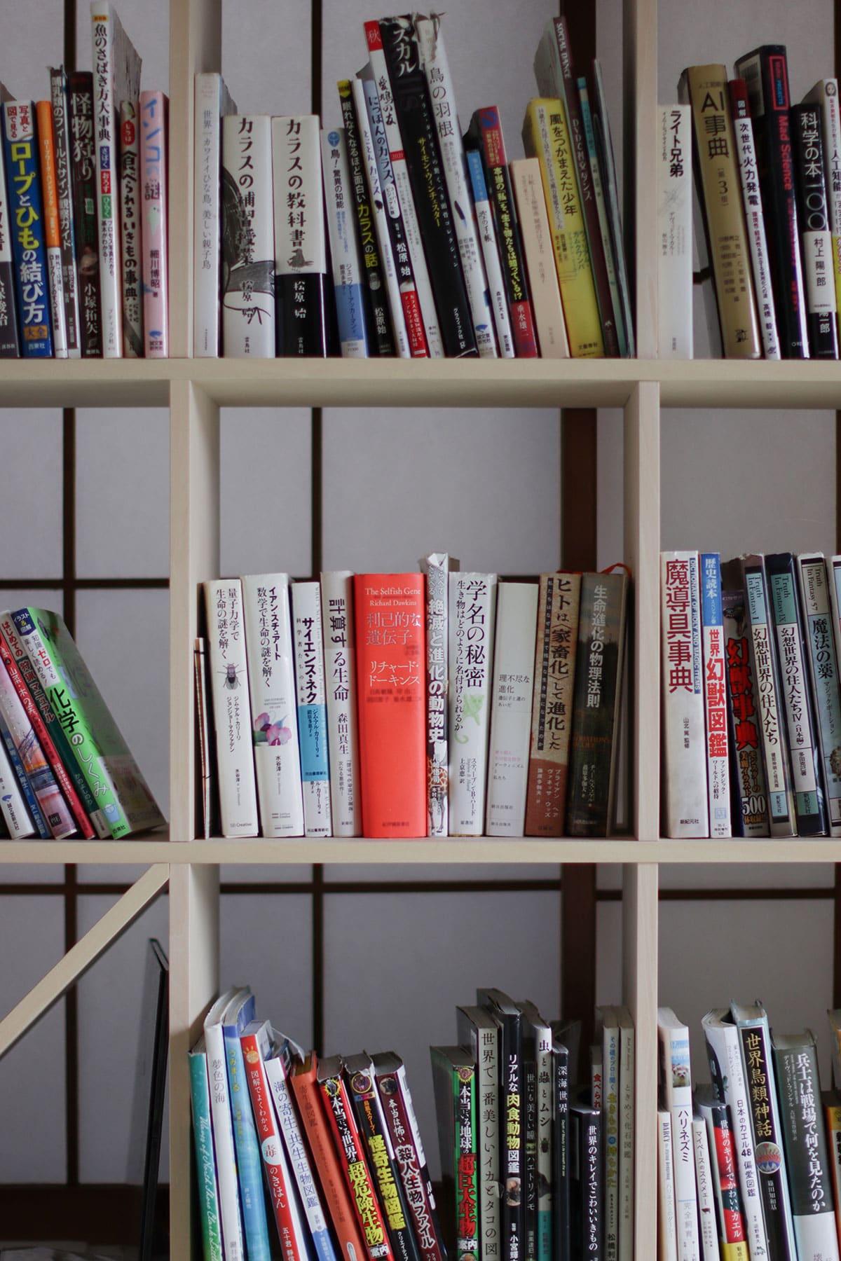 和室の本棚 - Shelf 壁一面の本棚 奥行250mm - マルゲリータお客様事例