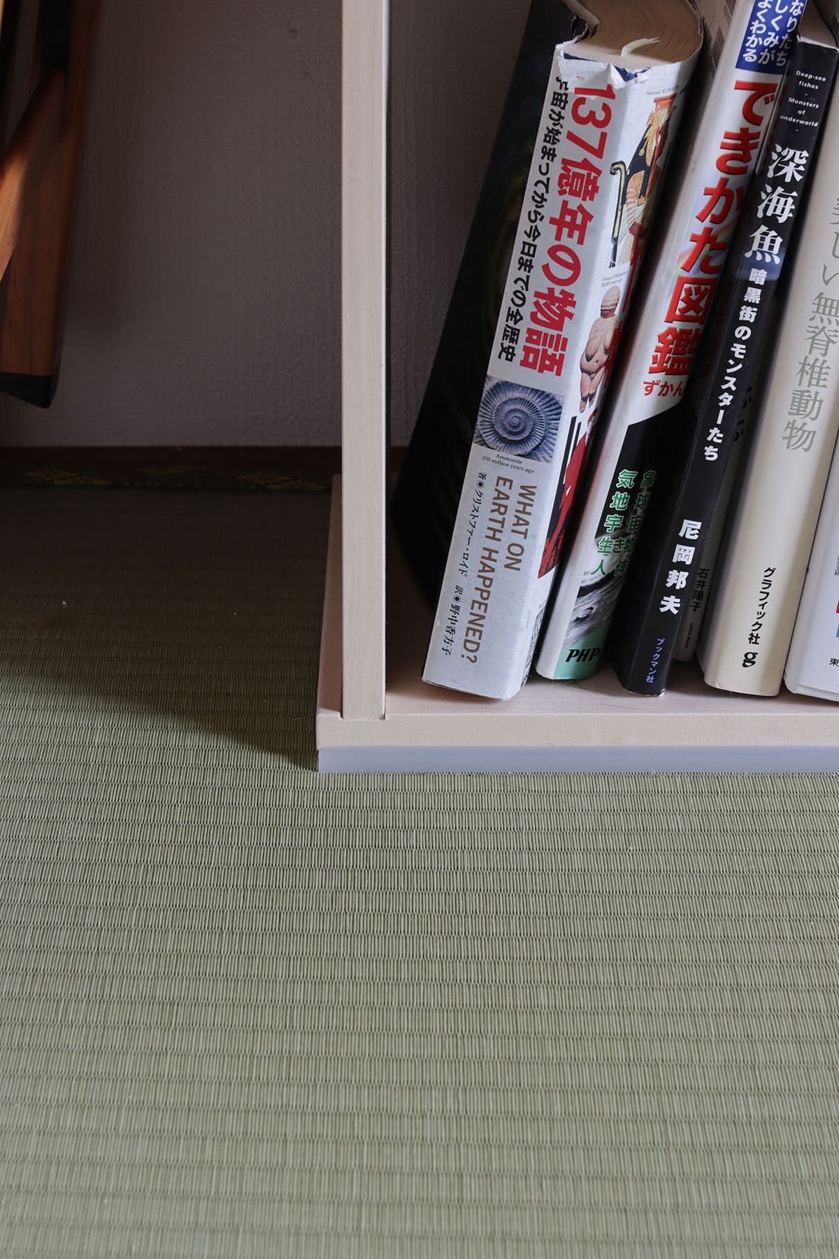 和室の本棚 - Shelf 壁一面の本棚 奥行250mm - マルゲリータお客様事例