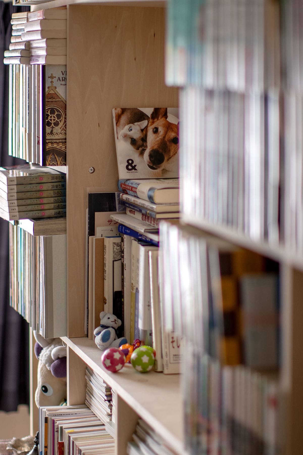 書斎の本棚 - Shelf 壁一面の本棚 奥行250mm - マルゲリータお客様事例