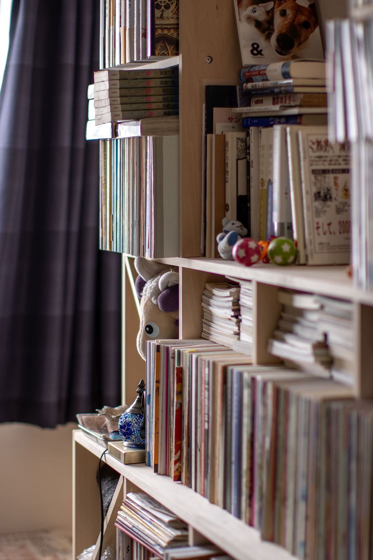 書斎の本棚 - Shelf 壁一面の本棚 奥行250mm - マルゲリータお客様事例