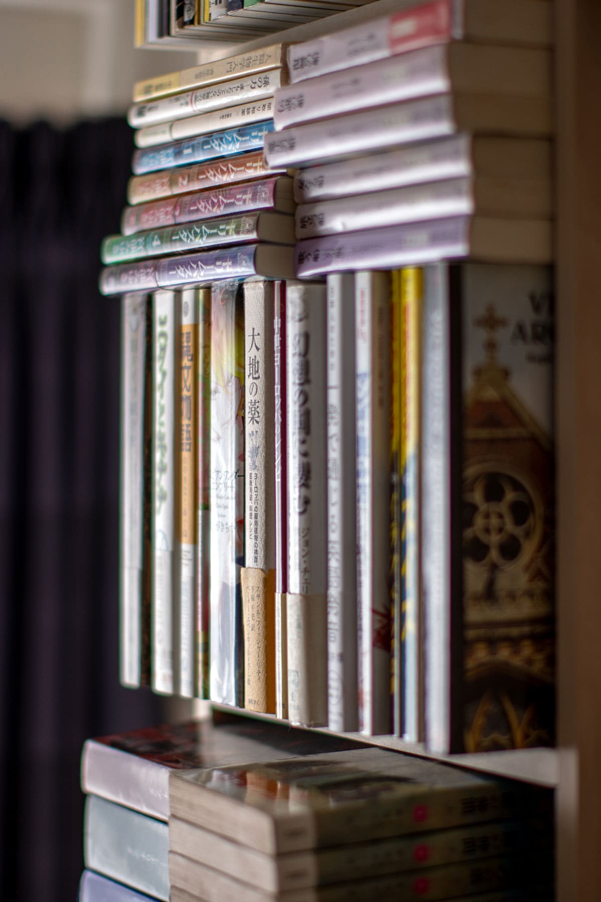 書斎の本棚 - Shelf 壁一面の本棚 奥行250mm - マルゲリータお客様事例