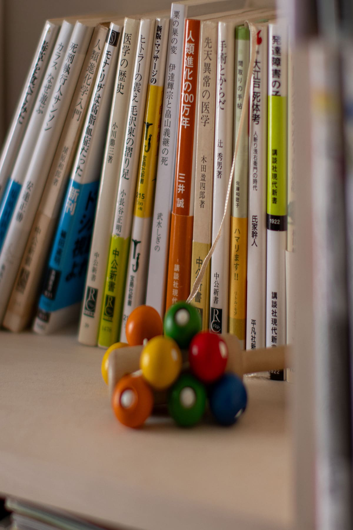 書斎の本棚 - Shelf 壁一面の本棚 奥行250mm - マルゲリータお客様事例