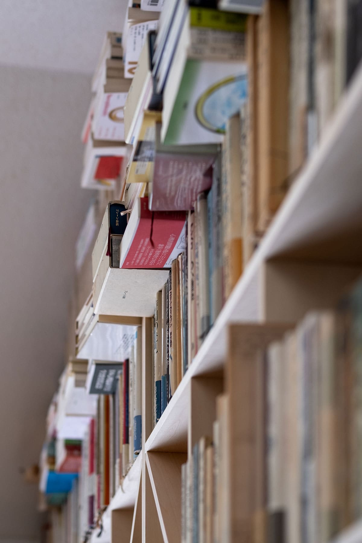 Shelf 壁一面の本棚 奥行250mm - マルゲリータお客様事例