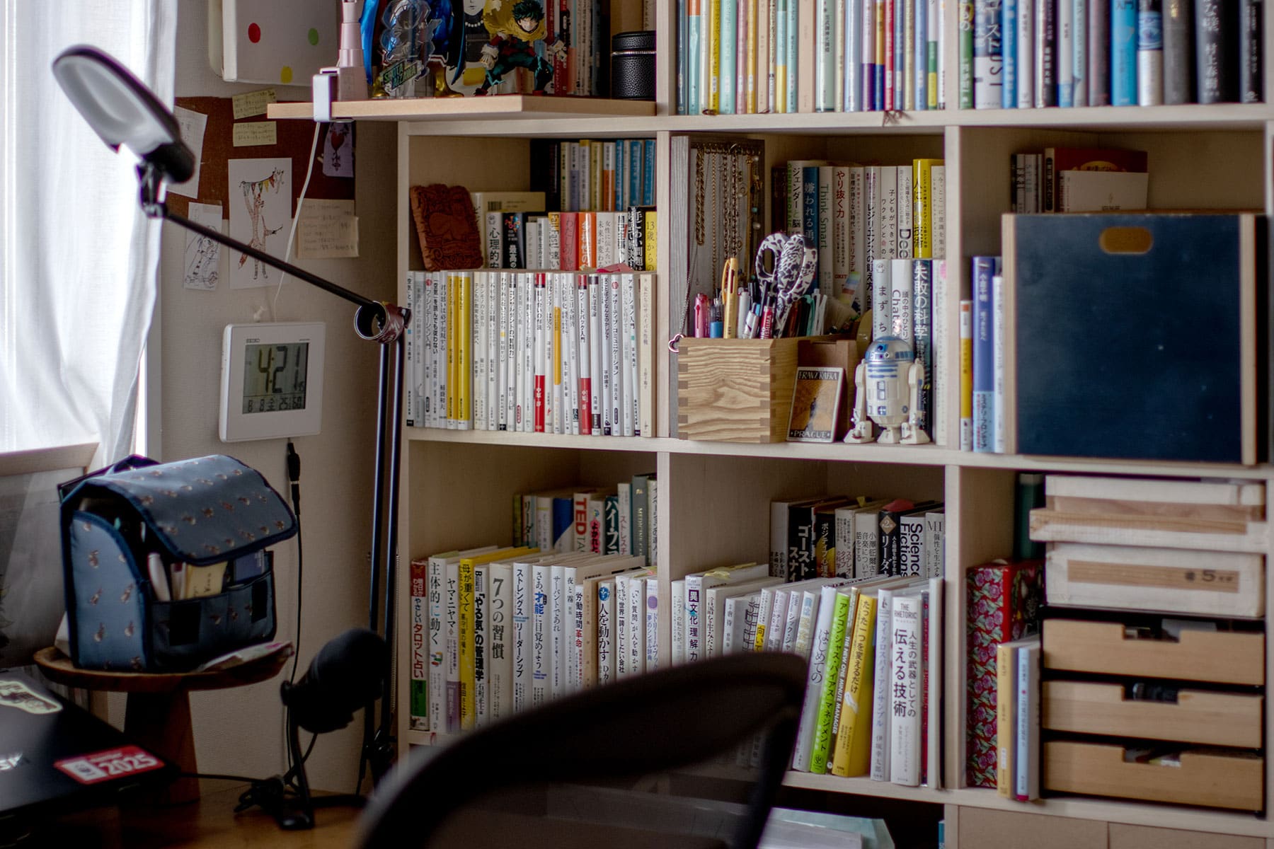 書斎の本棚 - Shelf 壁一面の本棚 奥行350mm - マルゲリータお客様事例