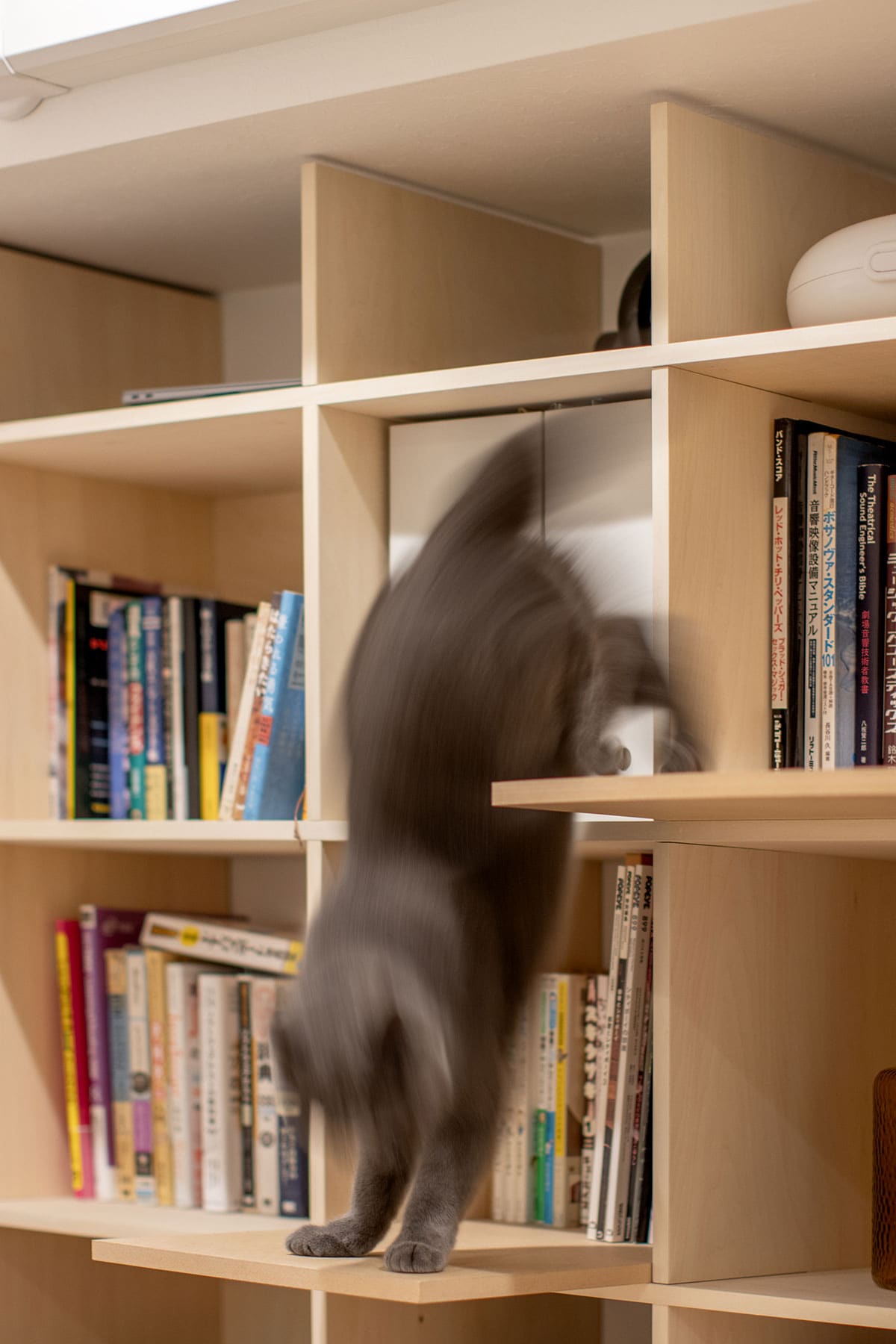 オーディオラック - Shelf 壁一面の本棚 奥行350mm - マルゲリータお客様事例