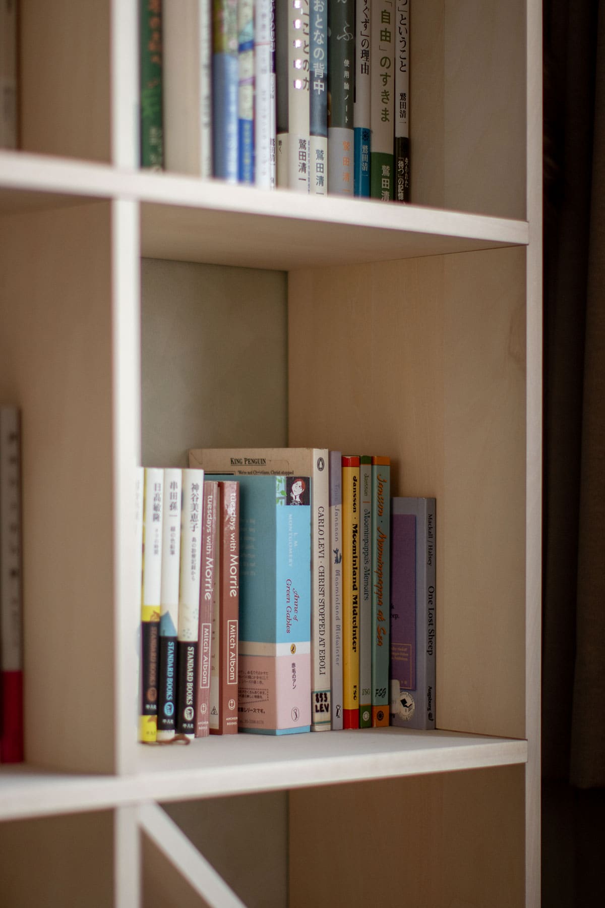 リビングの本棚 - Shelf 壁一面の本棚 奥行250mm - マルゲリータお客様事例