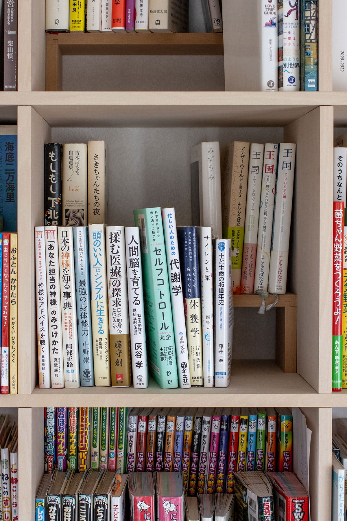 雁行した形のリビングに - Shelf カウンター付き本棚 - マルゲリータお客様事例