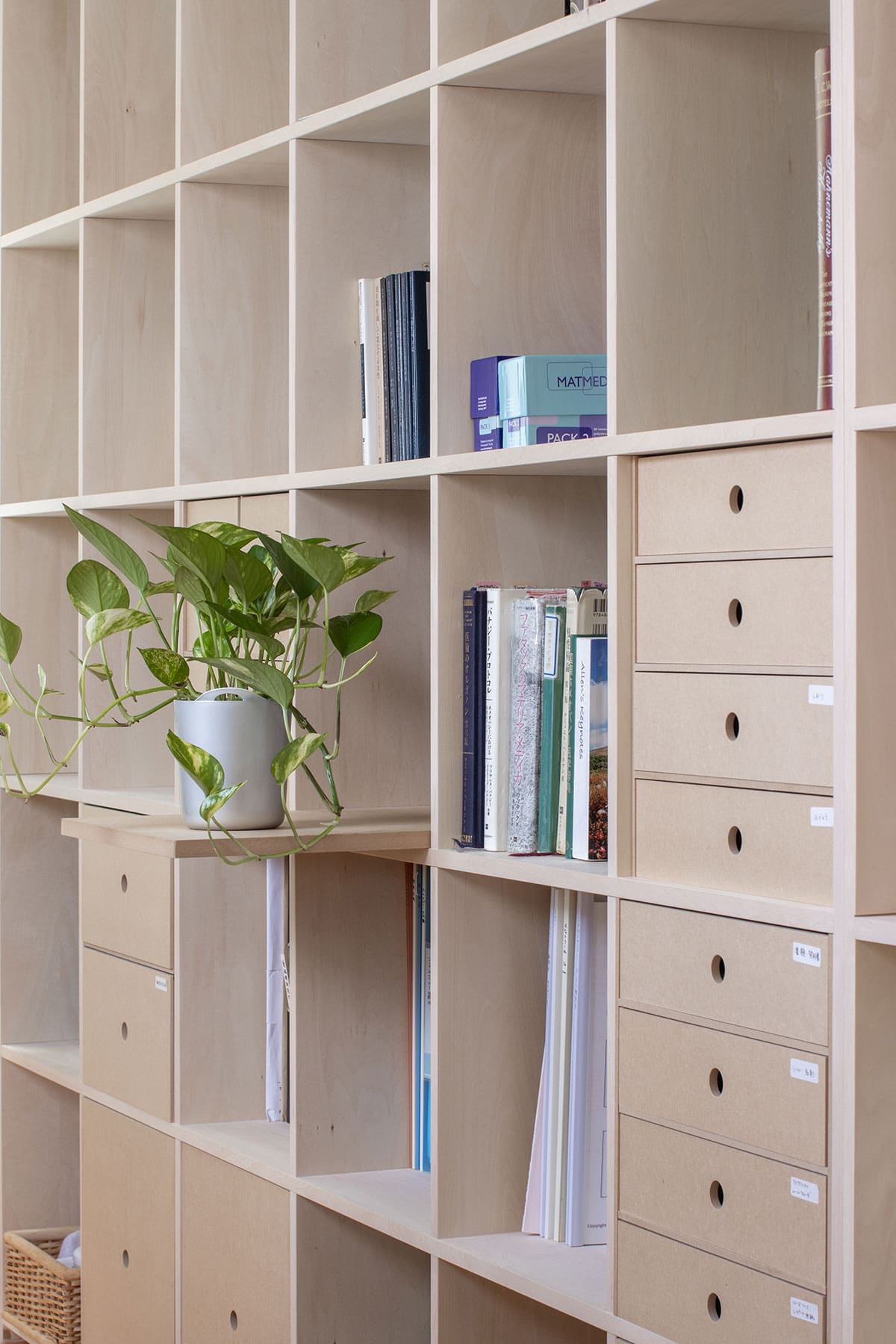 Shelf 壁一面の本棚 奥行350mm - マルゲリータお客様事例