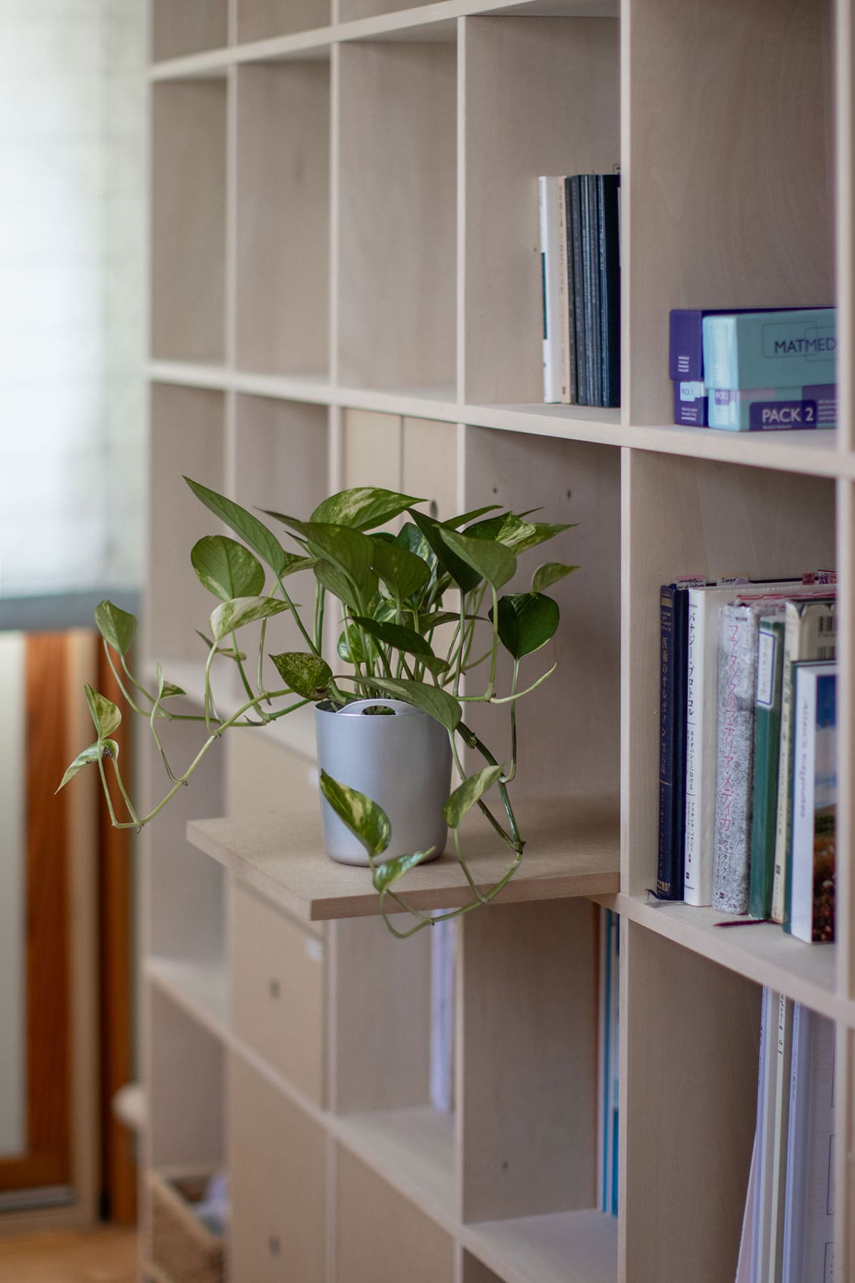 Shelf 壁一面の本棚 奥行350mm - マルゲリータお客様事例