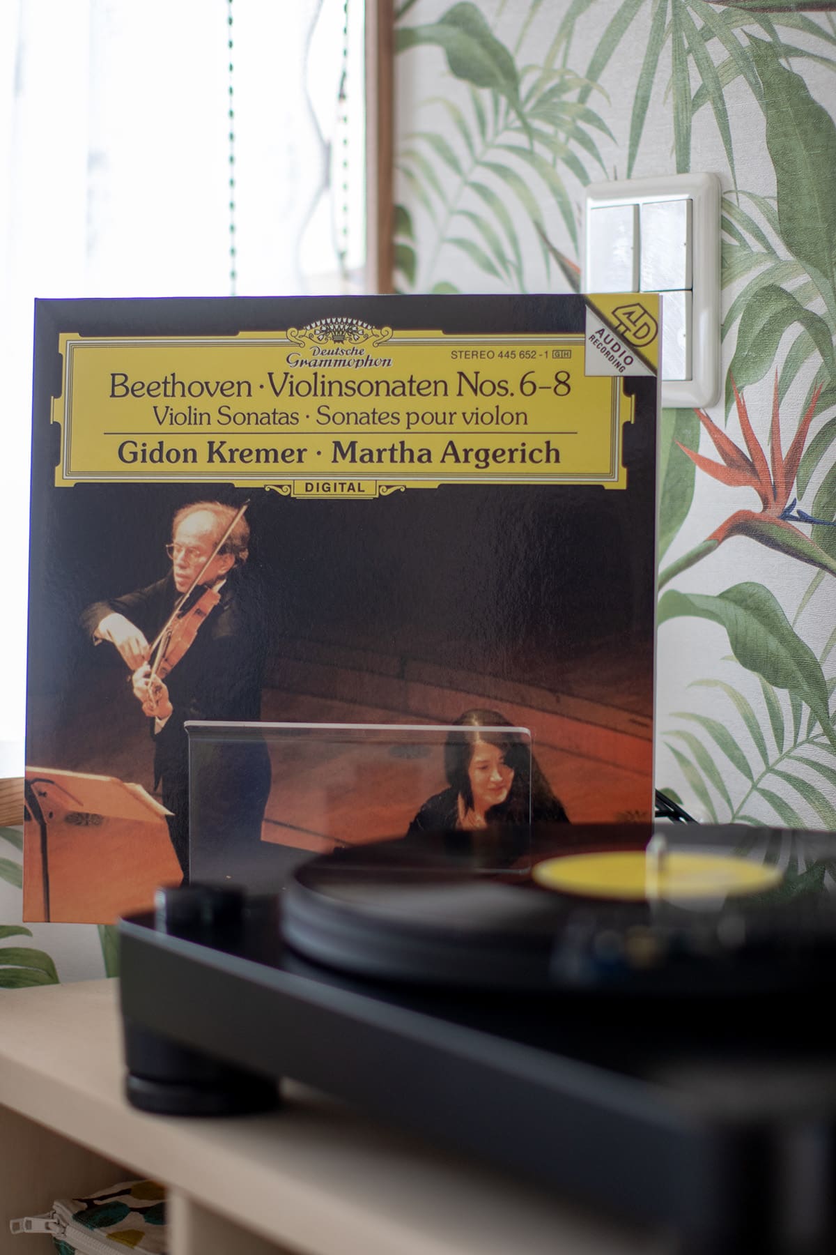 Shelf 壁一面の本棚 奥行350mm - マルゲリータお客様事例