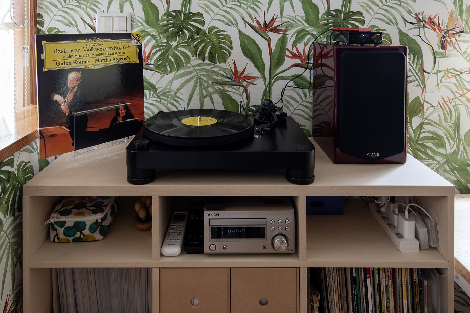 Shelf 壁一面の本棚 奥行350mm - マルゲリータお客様事例