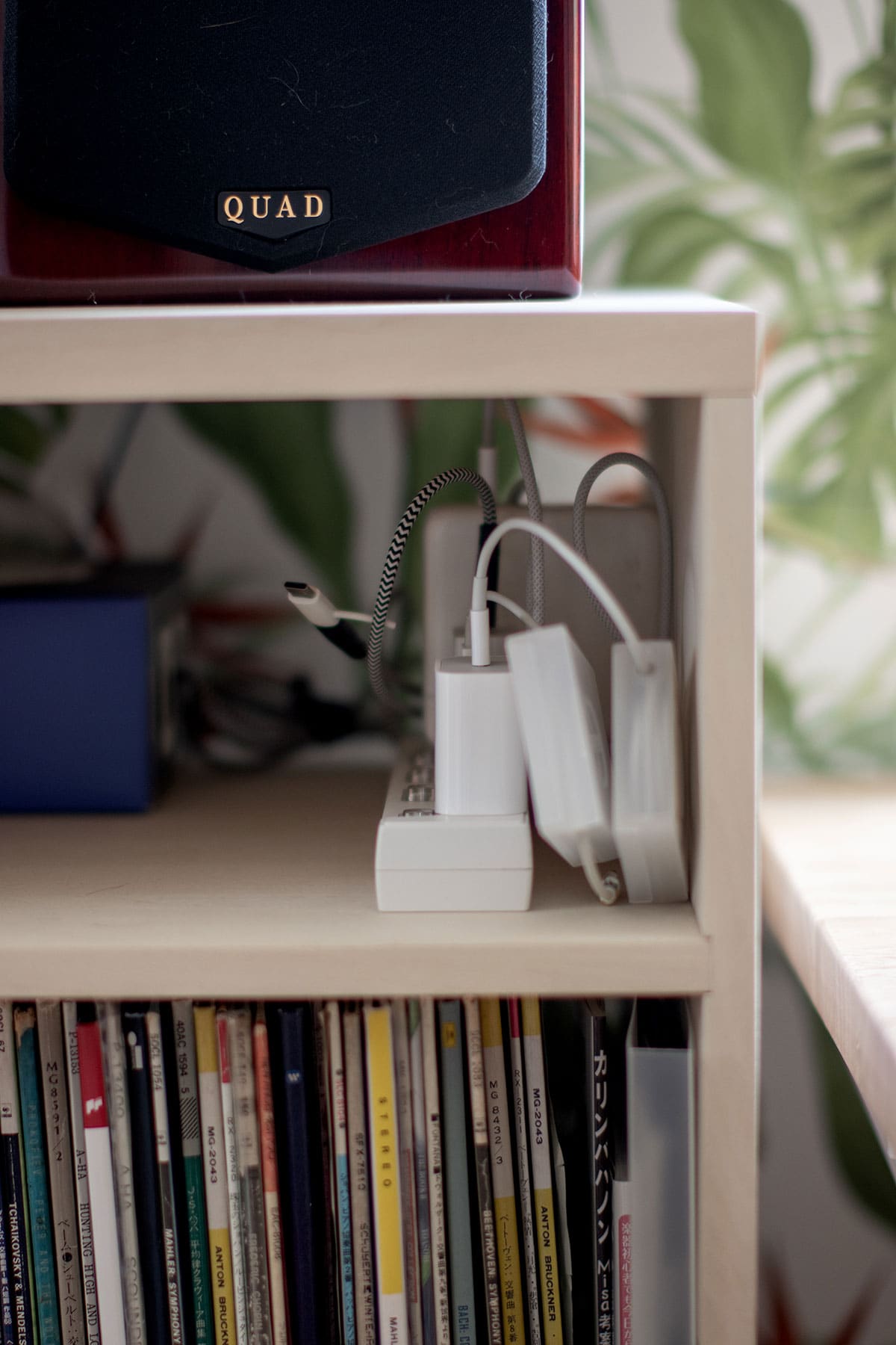 Shelf 壁一面の本棚 奥行350mm - マルゲリータお客様事例