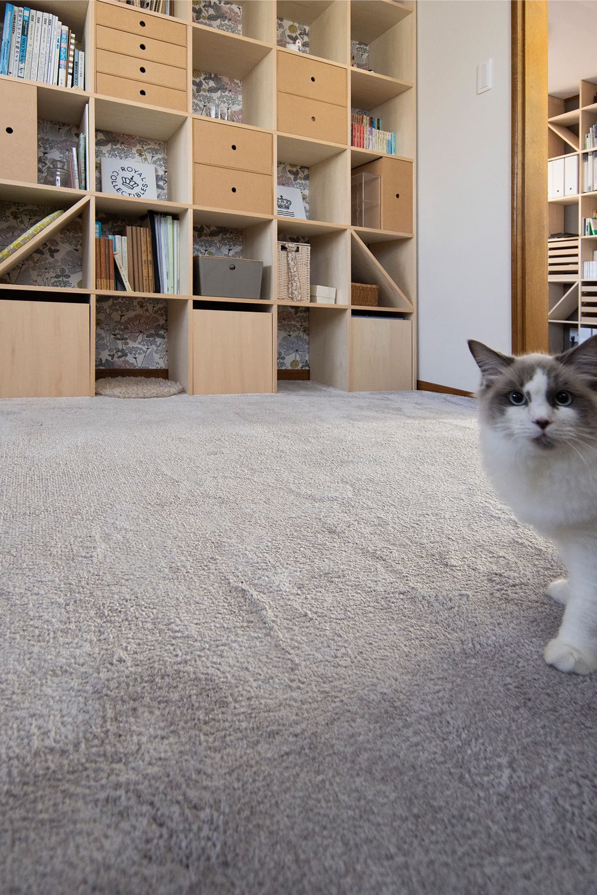 書斎の本棚・デスク - Shelf 壁一面の本棚 奥行250・壁一面の本棚 奥行350・Studio ワークデスク - マルゲリータお客様事例