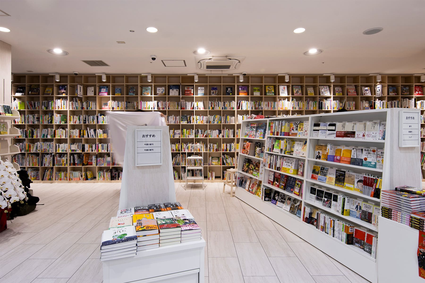 北野書店様の店内に設置された木製書棚 - Shelf 壁一面の本棚 - マルゲリータお客様事例