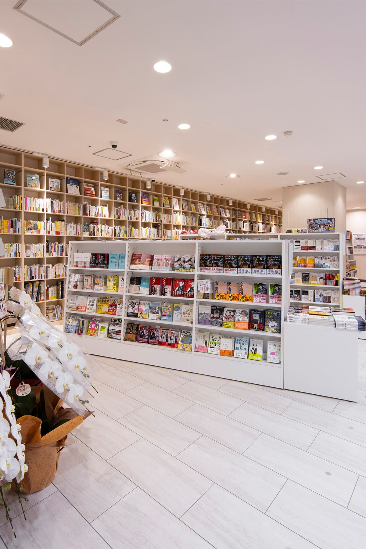 北野書店様の店内に設置された木製書棚 - Shelf 壁一面の本棚 - マルゲリータお客様事例