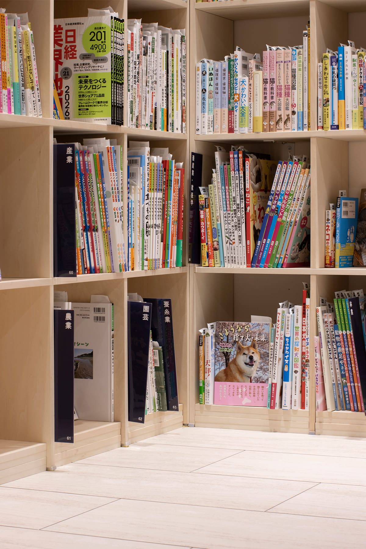 北野書店様の店内に設置された木製書棚 - Shelf 壁一面の本棚 - マルゲリータお客様事例