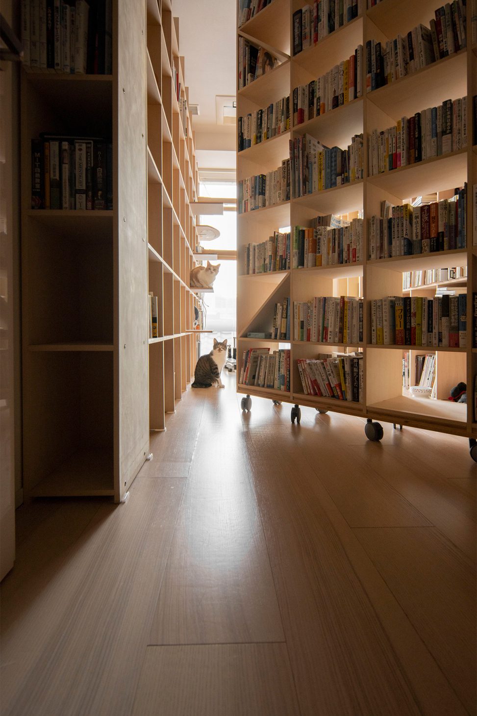 図書館みたいな部屋の実例 8選 本や本棚に囲まれる暮らしの事例を紹介