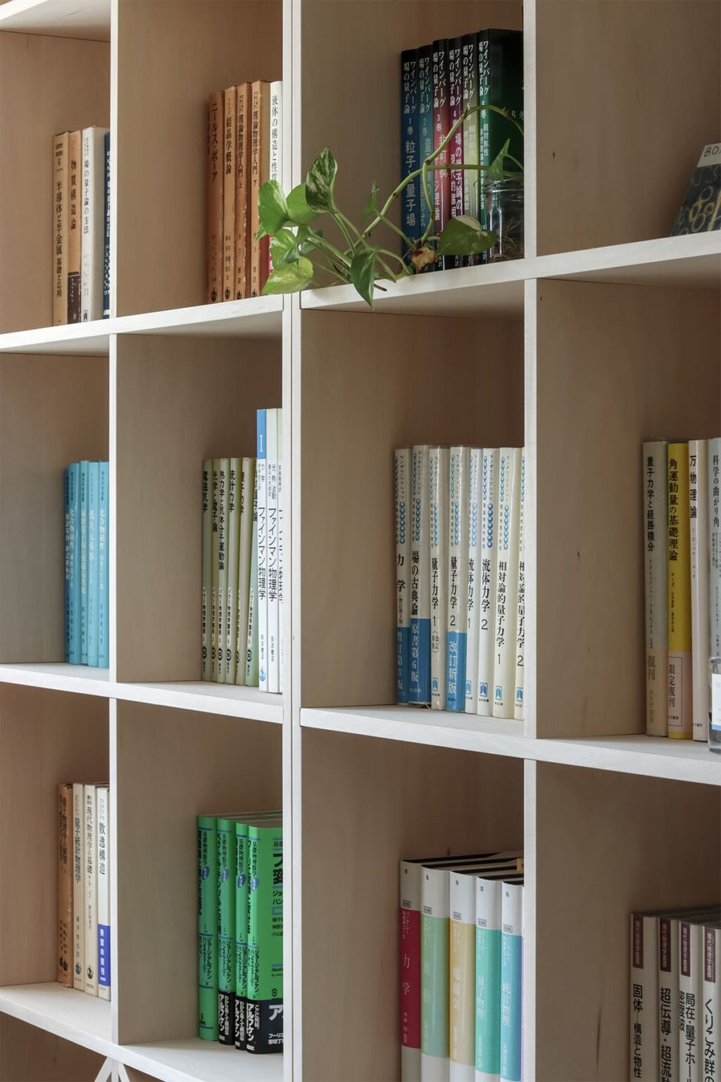 大学の研究室の本棚 - Shelf 壁一面の本棚 奥行250mm - マルゲリータお客様事例