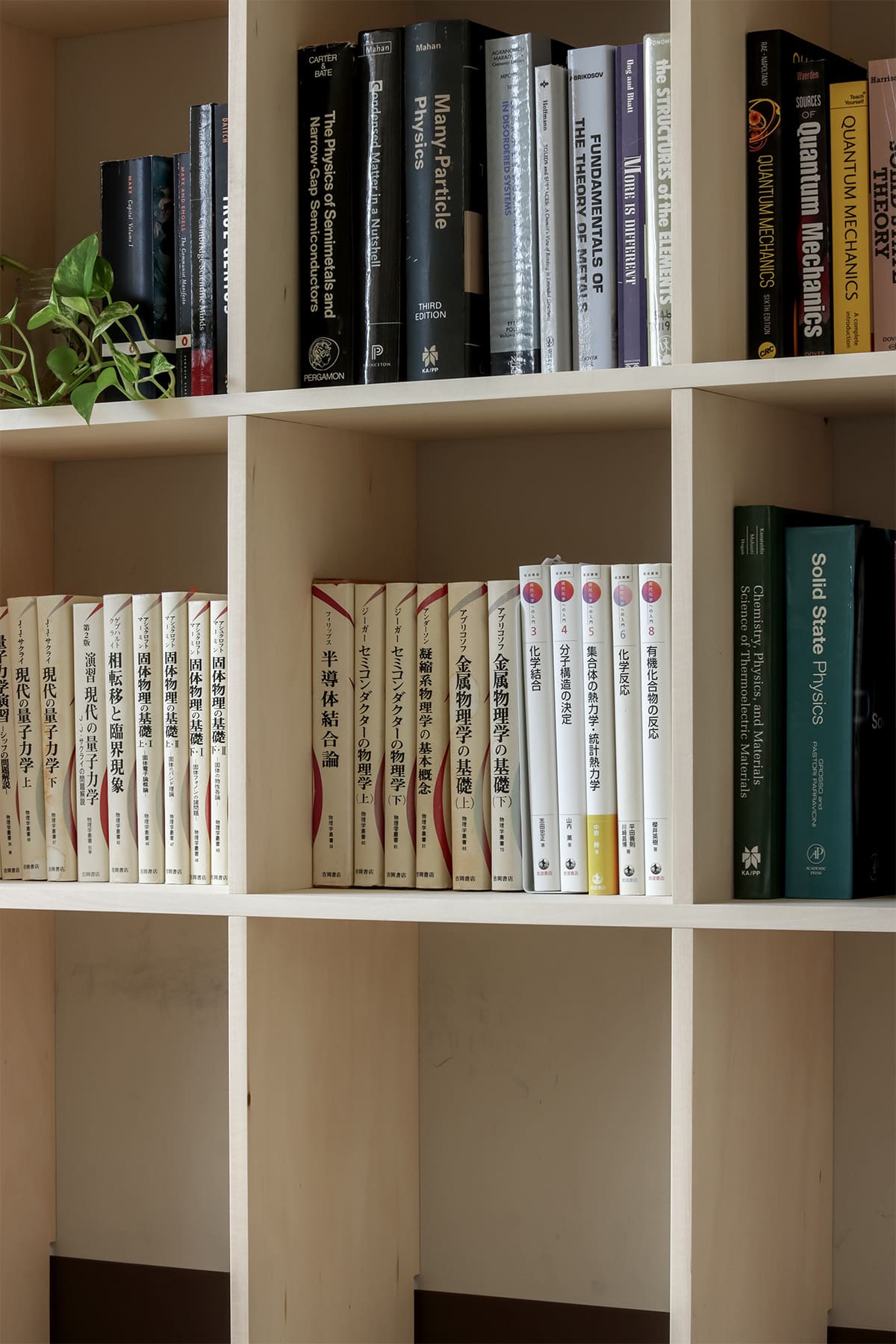 大学の研究室の本棚 - Shelf 壁一面の本棚 奥行250mm - マルゲリータお客様事例