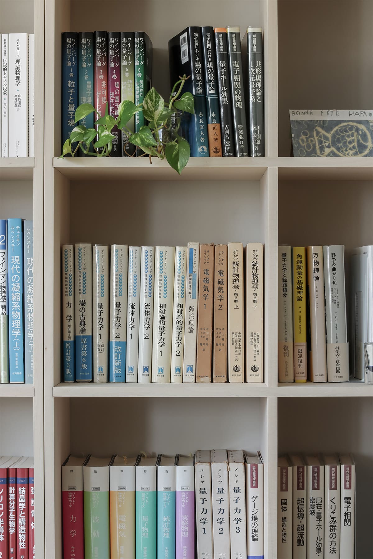 大学の研究室の本棚 - Shelf 壁一面の本棚 奥行250mm - マルゲリータお客様事例