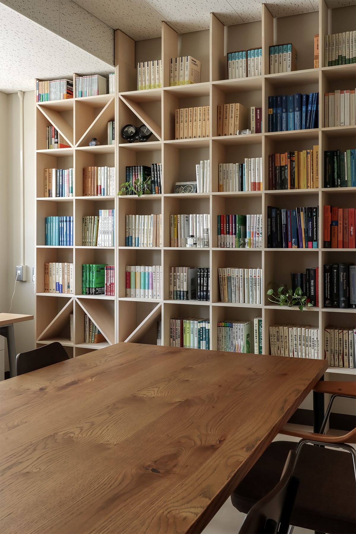 大学の研究室の本棚 - Shelf 壁一面の本棚 奥行250mm - マルゲリータお客様事例