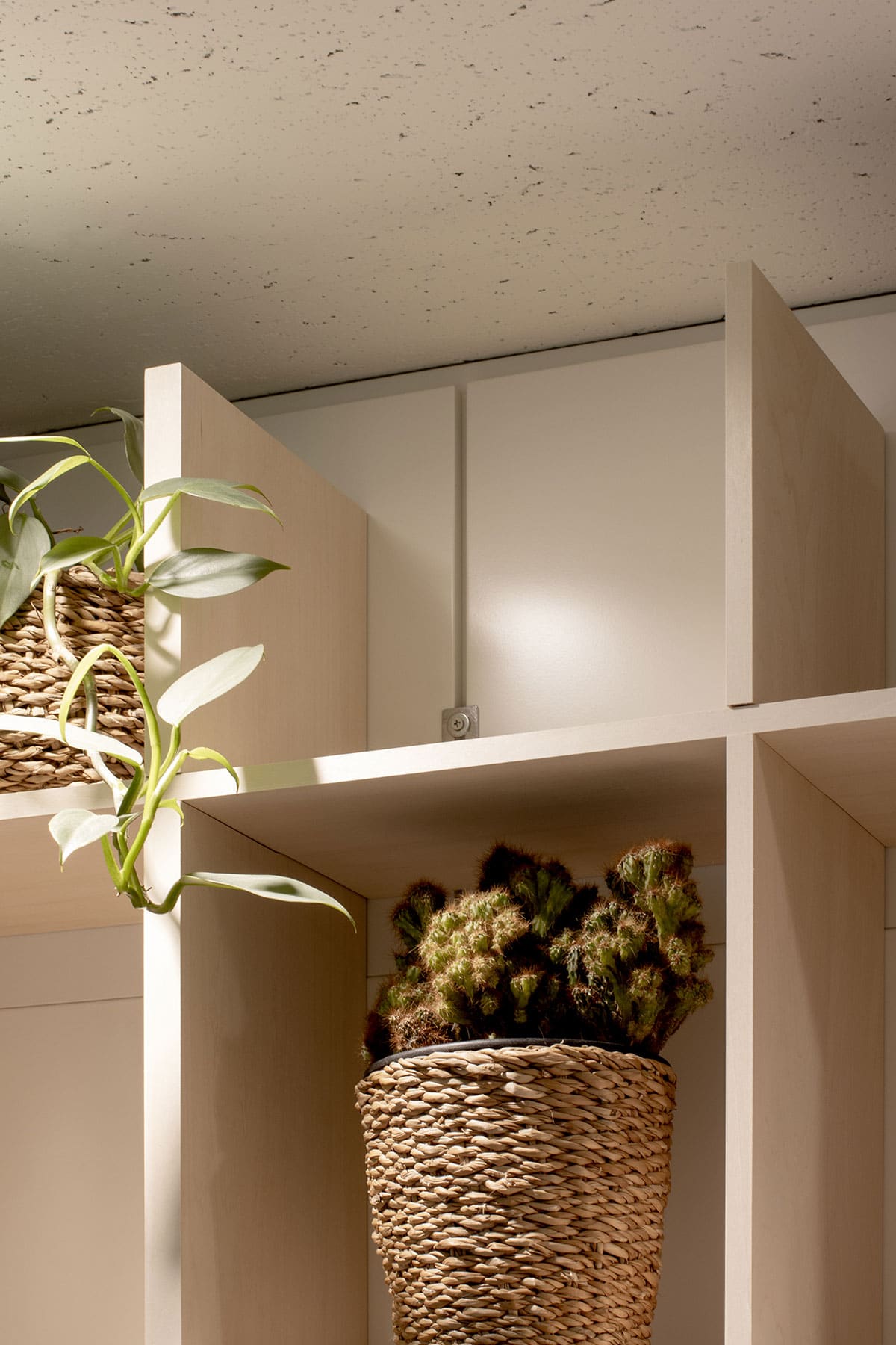 シェア&レンタルオフィス MICAN 様 - Shelf カウンター付き本棚・壁一面の本棚 奥行250mm - マルゲリータお客様事例