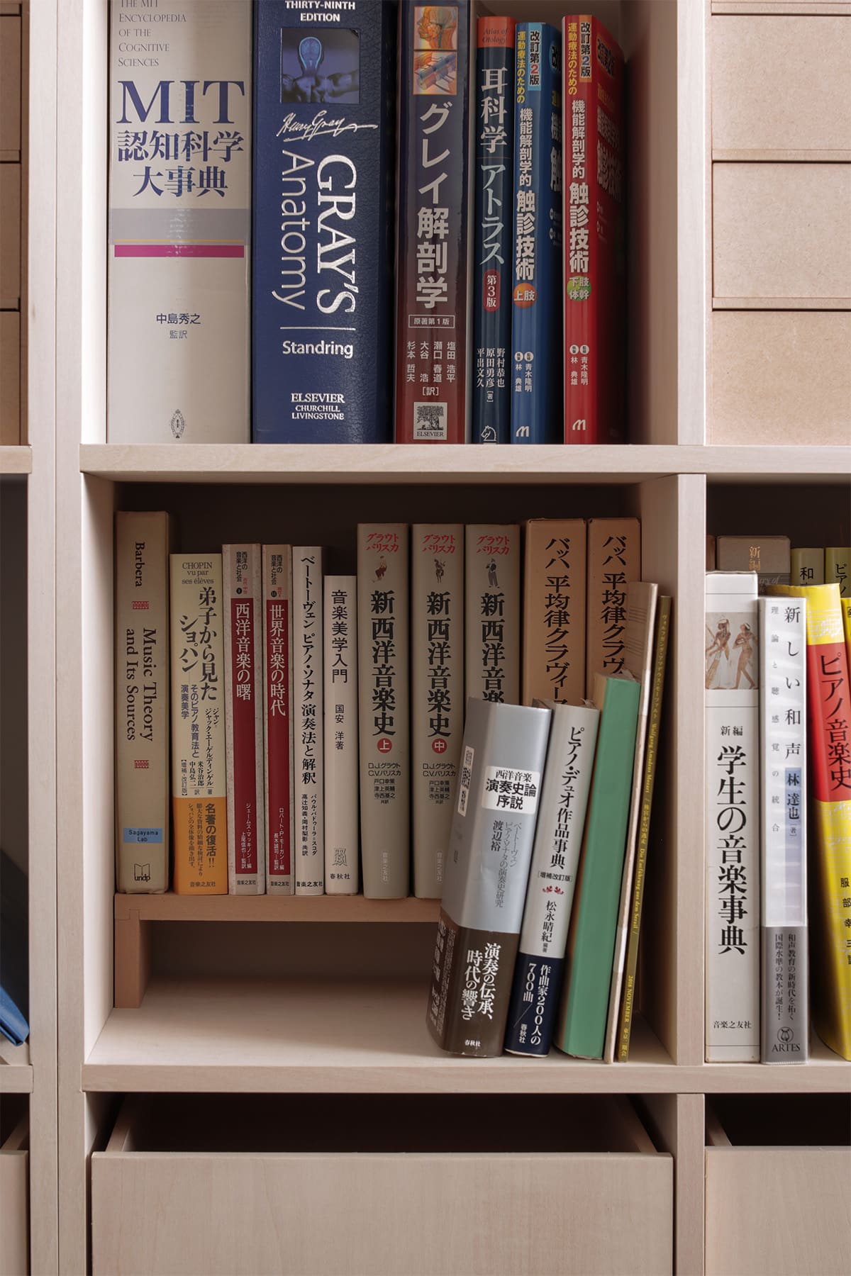 聴覚研究を支える、壁一面本棚の研究室 - Shelf 壁一面の本棚 奥行350mm - マルゲリータお客様事例