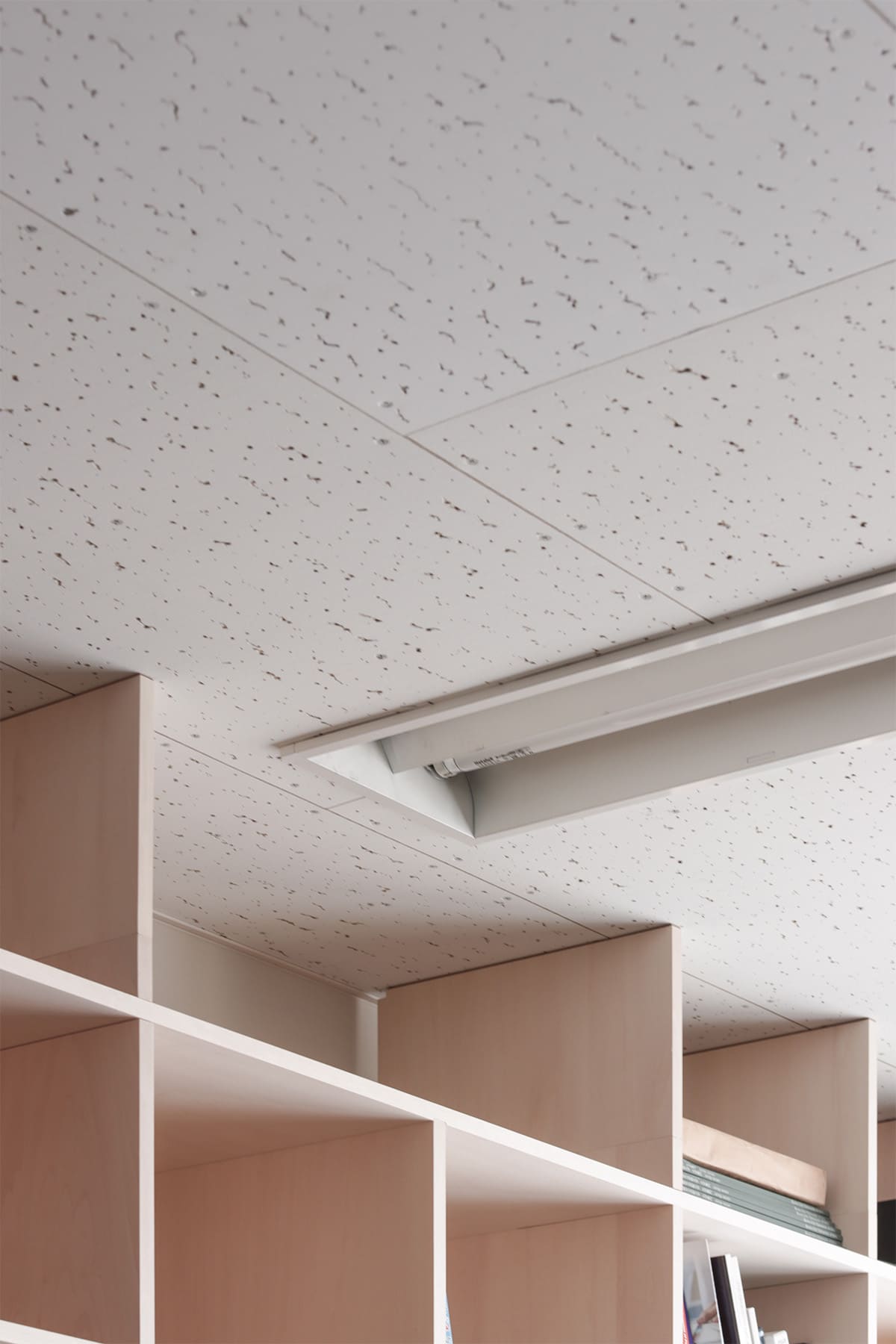 聴覚研究を支える、壁一面本棚の研究室 - Shelf 壁一面の本棚 奥行350mm - マルゲリータお客様事例