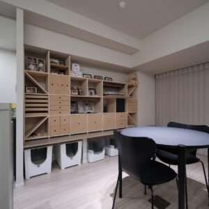 愛猫との暮らし - Shelf 壁一面の本棚 奥行350mm - マルゲリータお客様事例