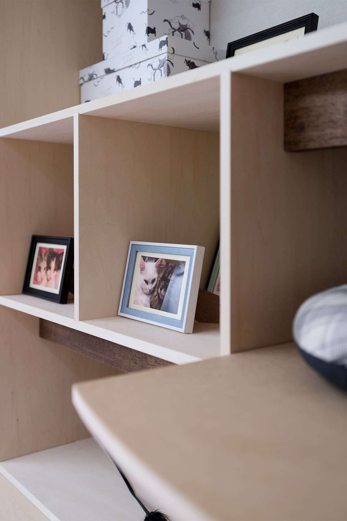 愛猫との暮らし - Shelf 壁一面の本棚 奥行350mm - マルゲリータお客様事例